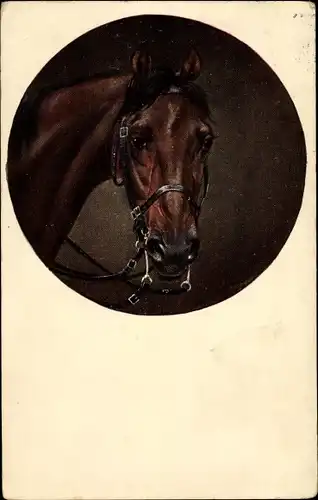 Künstler Ak Pferdeportrait, braunes Pferd mit Zaumzeug