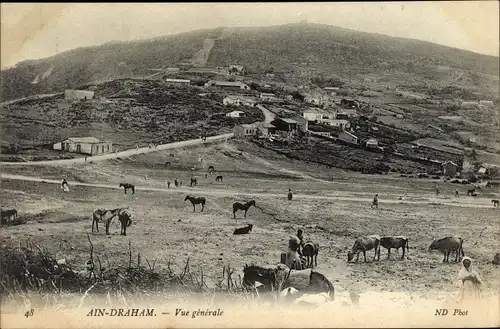 Ak Ain Draham Tunesien, Vue générale, Panorama vom Ort