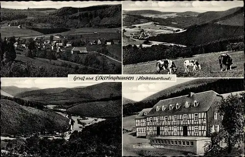 Ak Elkeringhausen Winterberg im Sauerland, Totalansicht vom Ort, Kuhweide, Schullandheim, Panorama