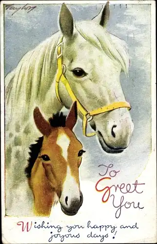 Künstler Ak Weißes Pferd mit Zaumzeug, braunes Fohlen