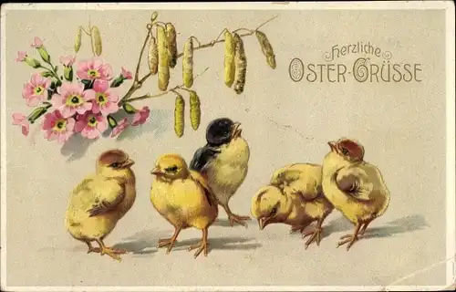 Ak Glückwunsch Ostern, Küken, Weidenkätzchen, Blumen 