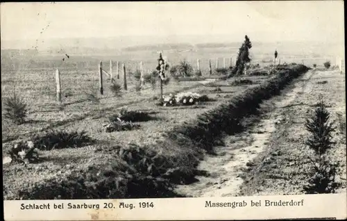 Ak Sarrebourg Saarburg Moselle, Massengrab bei Bruderdorf, Schlacht 1914, Soldatengräber