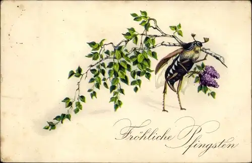 Ak Glückwunsch Pfingsten, Maikäfer 