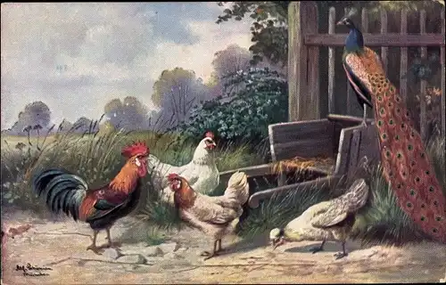 Künstler Ak Schönian, Alfred, Pfau, Hahn und Hühner