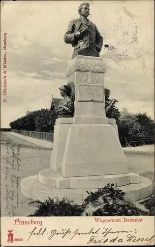 Ak Pinneberg in Schleswig Holstein, Wupperman Denkmal