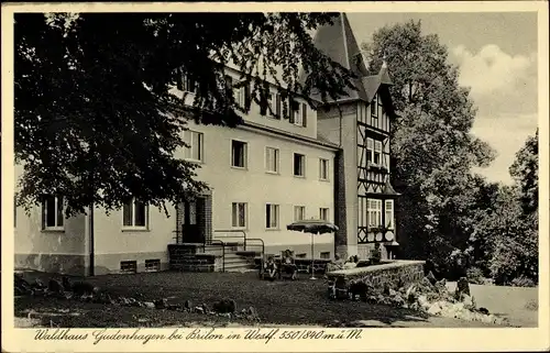 Ak Gudenhagen Petersborn Brilon im Sauerland, Waldhaus