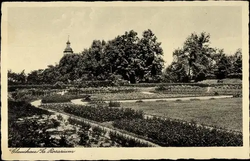 Ak Glauchau in Sachsen, Rosarium, Blumen, Wald