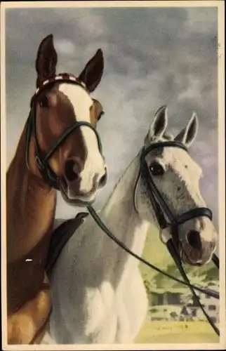Ak Weißes und braunes Pferd mit Zaumzeug, Pferdeportrait