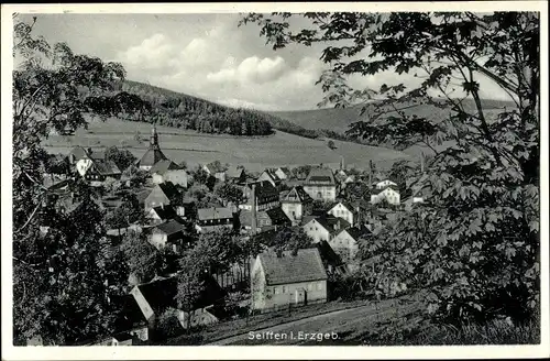 Ak Seiffen im Erzgebirge, Teilansicht vom Ort mit Kirche, Wald