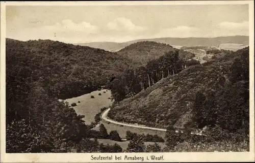 Ak Arnsberg im Sauerland, Seufzertal, Totalansicht