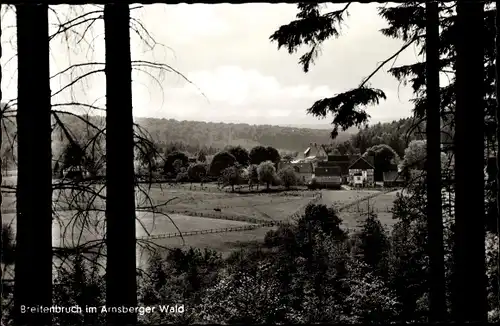 Ak Breitenbruch Arnsberg im Hochsauerlandkreis, Waldpartie, Ortsteilansicht