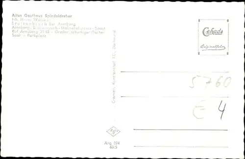 Ak Breitenbruch Arnsberg im Hochsauerlandkreis, Waldpartie, Ortsteilansicht