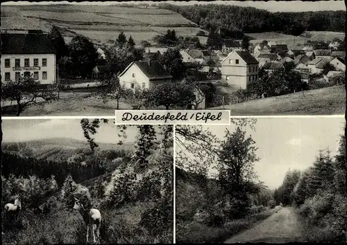Ak Deudesfeld in der Eifel, Ortspartie, Hotel Leyendether, Rehe, Waldpartie