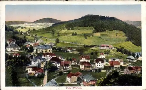 Ak Todtmoos im Hochschwarzwald, Teilansicht vom Ort mit Umgebung, Wiesen, Wald, Hügellandschaft