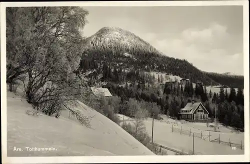 Ak Åre Are Schweden, Totthummeln