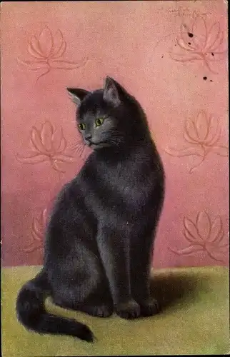 Künstler Ak Katzenportrait, schwarze Katze vor einer Wand mit rosa Tapete