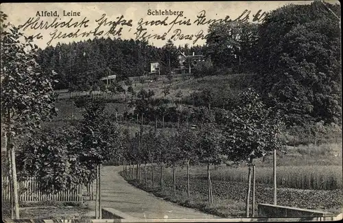 Ak Alfeld an der Leine, Schehberg, Straßenansicht