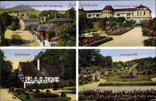 Ak Szczawno Zdrój Bad Salzbrunn Schlesien, Elisenhalle, Wiesenhaus, Rosengarten, Schlesischer Hof