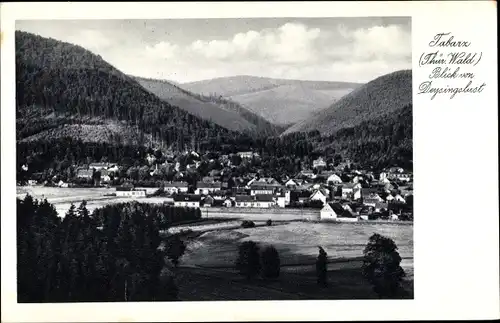 Ak Tabarz im Thüringer Wald, Teilansicht vom Ort, Blick vom Deysingslust, Hügellandschaft