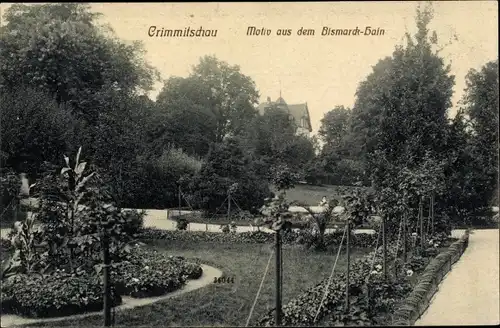 Ak Crimmitschau in Sachsen, Motiv aus dem Bismarckhain