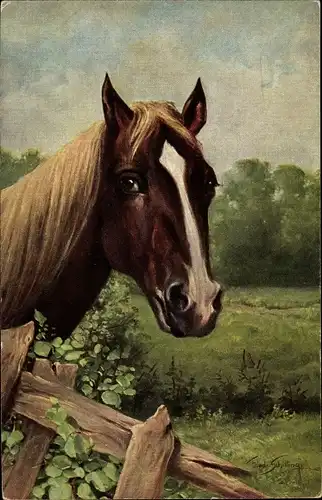 Künstler Ak Schilling, Fried., Portrait von einem braunen Pferd mit heller Mähne