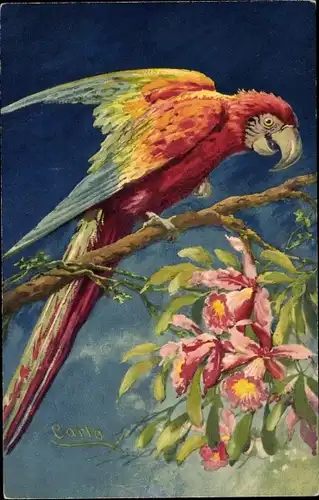 Künstler Ak Carlo, Roter Papagei auf einem Ast, Orchideenblüten