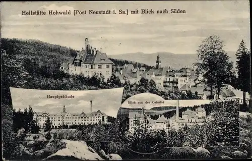 Ak Hohwald Neustadt in Sachsen, Außenansichten der Heilstätte, Wald