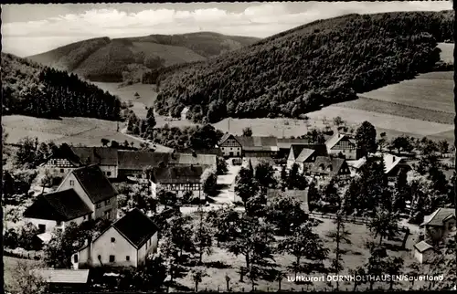 Ak Dörnholthausen Sundern im Hochsauerlandkreis, Blick auf den Ort mit Umgebung aus der Vogelschau