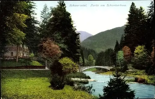 Ak Schwarzburg in Thüringen, Schwarzachtal, Partie am Schweizerhaus, Fluss, Brücke, Wald