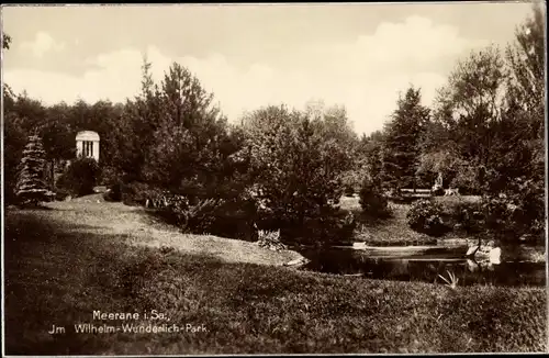 Ak Meerane in Sachsen, Wilhelm Wunderlich Park, Teich, Wiese, Bäume
