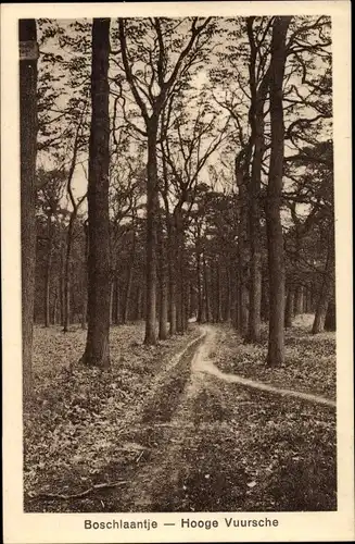 Ak Baarn Utrecht Niederlande, Boschlaantje, Hooge Vuursche