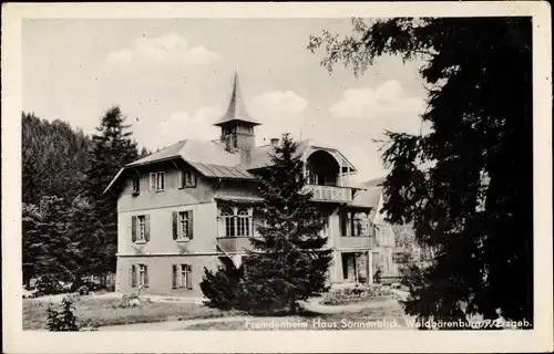 Ak Bärenburg Altenberg im Erzgebirge, Fremdenheim Haus Sonnenblick, Wald