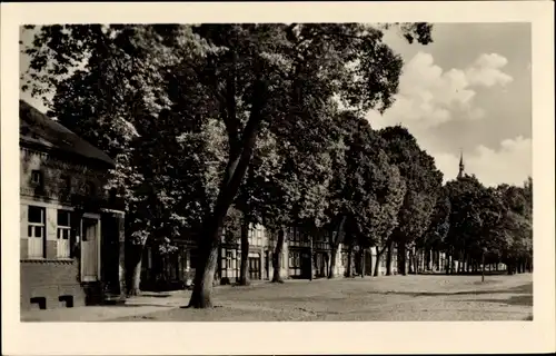 Ak Bad Wilsnack in der Prignitz, Lindenstraße