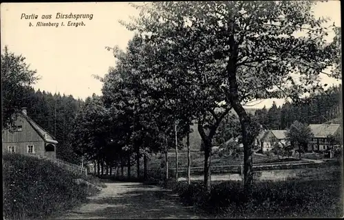 Ak Hirschsprung Altenberg im Erzgebirge, Straßenpartie im Ort
