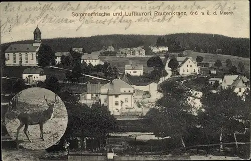 Ak Morgenröthe Rautenkranz Muldenhammer im Vogtland, Kirche, Ortspanorama, Hirsch