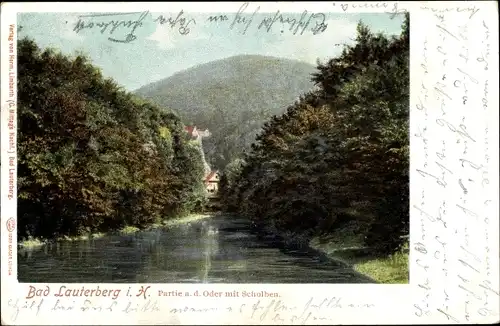 Ak Bad Lauterberg im Harz, Partie an der Oder, Scholben