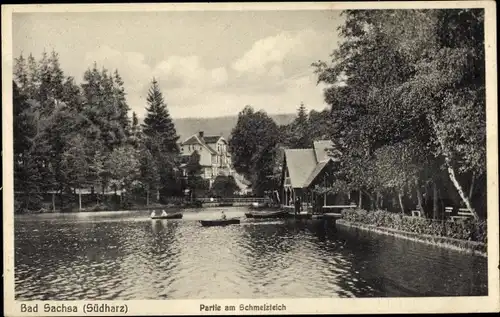 Ak Bad Sachsa in Niedersachsen, Partie am Schmelzteich, Ruderboote