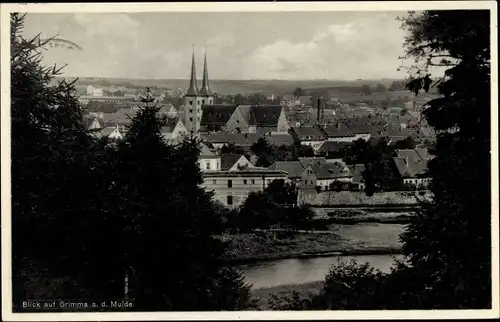 Ak Grimma in Sachsen, Kirche, Teilansicht der Stadt