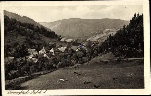 Ak Rohrbach in Thüringen, Panoramaansicht von Ortschaft