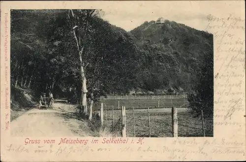 Ak Neudorf Harzgerode am Harz, Meiseberg, Selketal