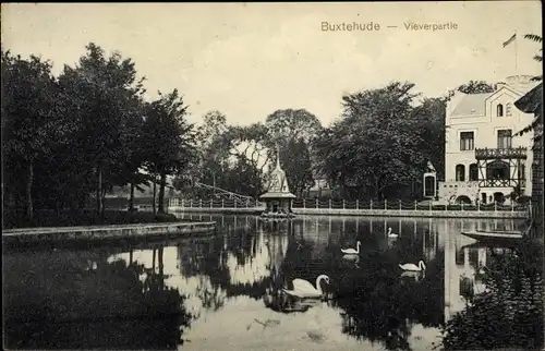 Ak Buxtehude in Niedersachsen, Vieverpartie, Schwäne