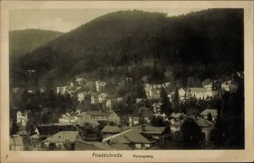 Ak Friedrichroda im Thüringer Wald, Herzogsweg, Panorama