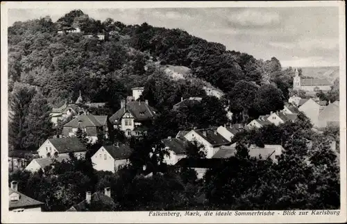 Ak Falkenberg in der Mark, Blick zur Karlsburg