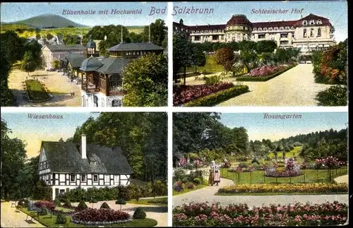 Ak Szczawno Zdrój Bad Salzbrunn Schlesien, Elisenhalle, Wiesenhaus, Rosengarten, Schlesischer Hof