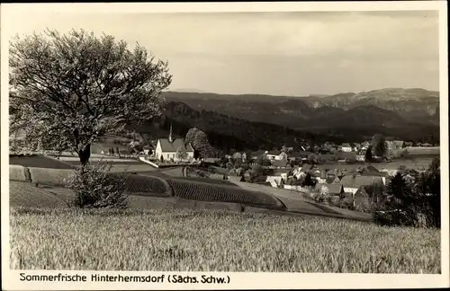Ak Hinterhermsdorf Sebnitz in Sachsen, Kirche, Ortschaft mit Landschaftsblick