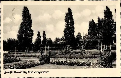 Ak Forst in der Niederlausitz, Rosengarten, Pappeln