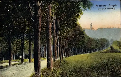 Ak Annaberg Buchholz Erzgebirge, Weg zum Pöhlberg, Aussichtsturm