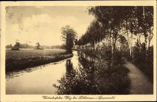 Ak Lübbenau im Spreewald, Wotschofskaweg, Birkenallee, Uferpartie