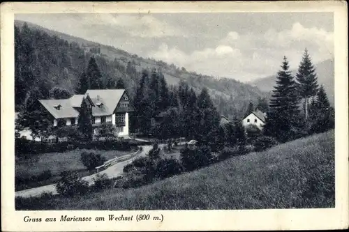 Ak Mariensee am Wechsel Aspangberg St. Peter in Niederösterreich, Haus, Waldpartie