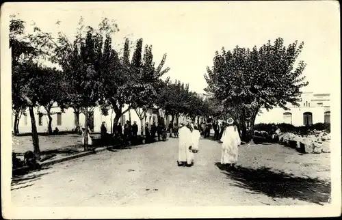 Ak Tabarka Tunesien, Entrée de la Ville